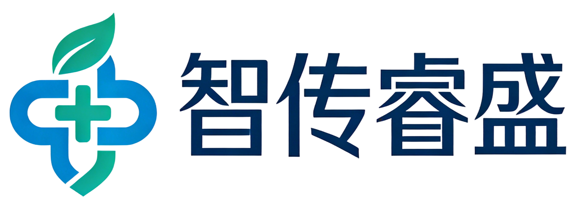 智传睿盛LOGO